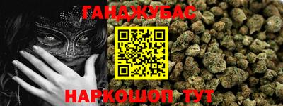 сатива Сланцы