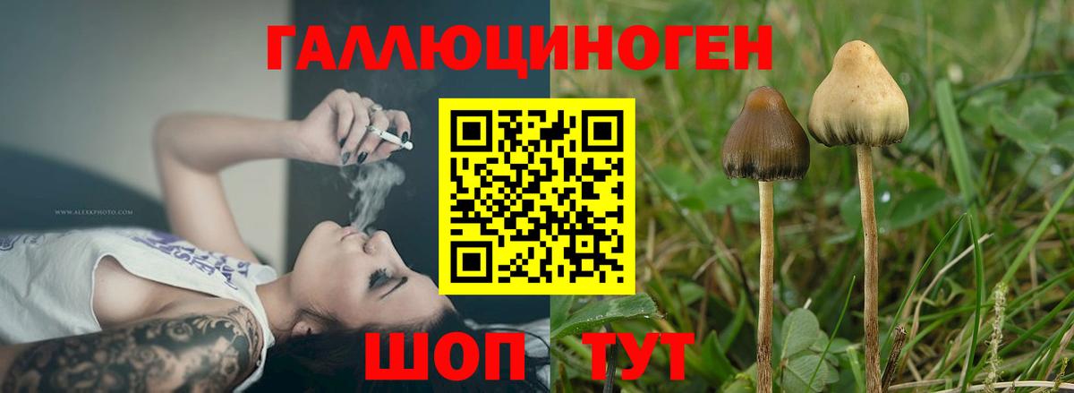 Псилоцибиновые грибы мухоморы  Галлюциногенные грибы Magic Shrooms  Норильск  Вход с VPN 